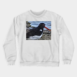 I DON'T DO OYSTERS! Crewneck Sweatshirt